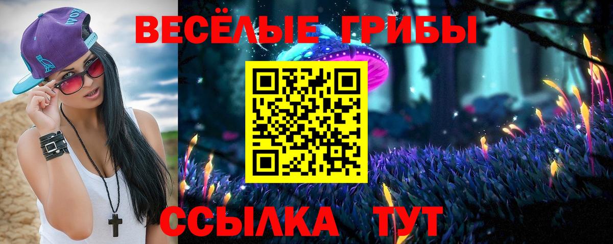 Галлюциногенные грибы Cubensis  Вход с VPN  Новокуйбышевск  Псилоцибиновые грибы мицелий 