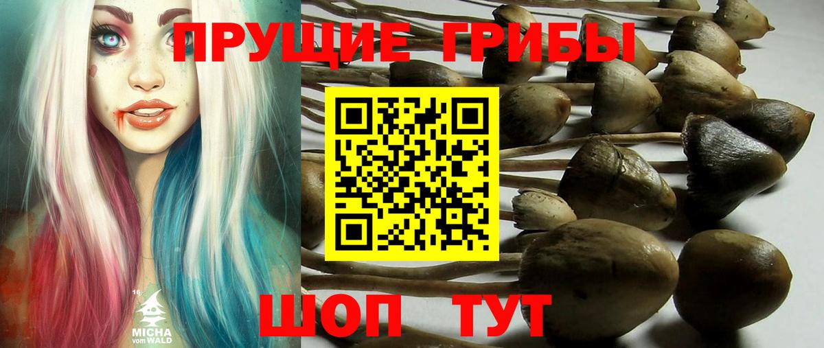 Меф   Новокуйбышевск  Конопля  COCAIN  Вход с VPN  A-PVP СК   МЕТ  МЕФ  ГАШ 
